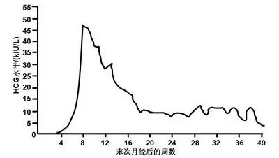 妊娠妇女 HCG 的动力学变化