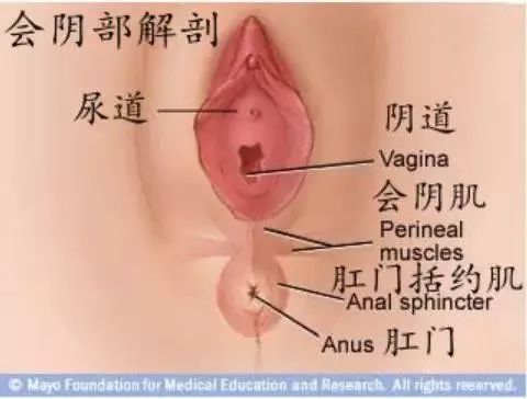 10个顺产8个撕裂