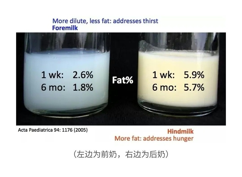 前奶和后奶的区别