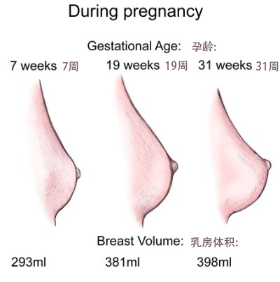 乳房刺痛